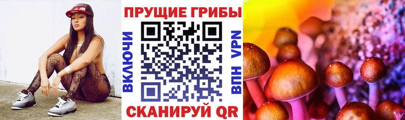 Галлюциногенные грибы GOLDEN TEACHER  Купить где  Белоярский 